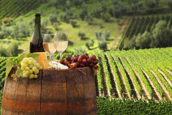 Taste one of the most famous Italian Wine during your holidays