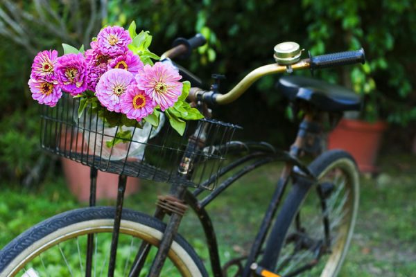 old black bicycle with flowers in the front basket,parked in the garden